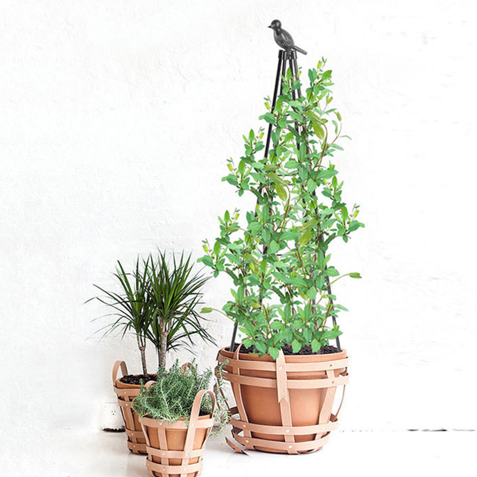 Obélisque de jardin en métal,  - Model Kit Obelisk avis et prix